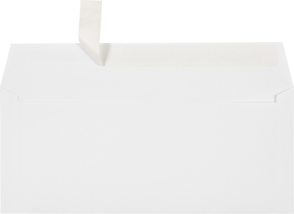 #10 Envelope w/Peel & Seal